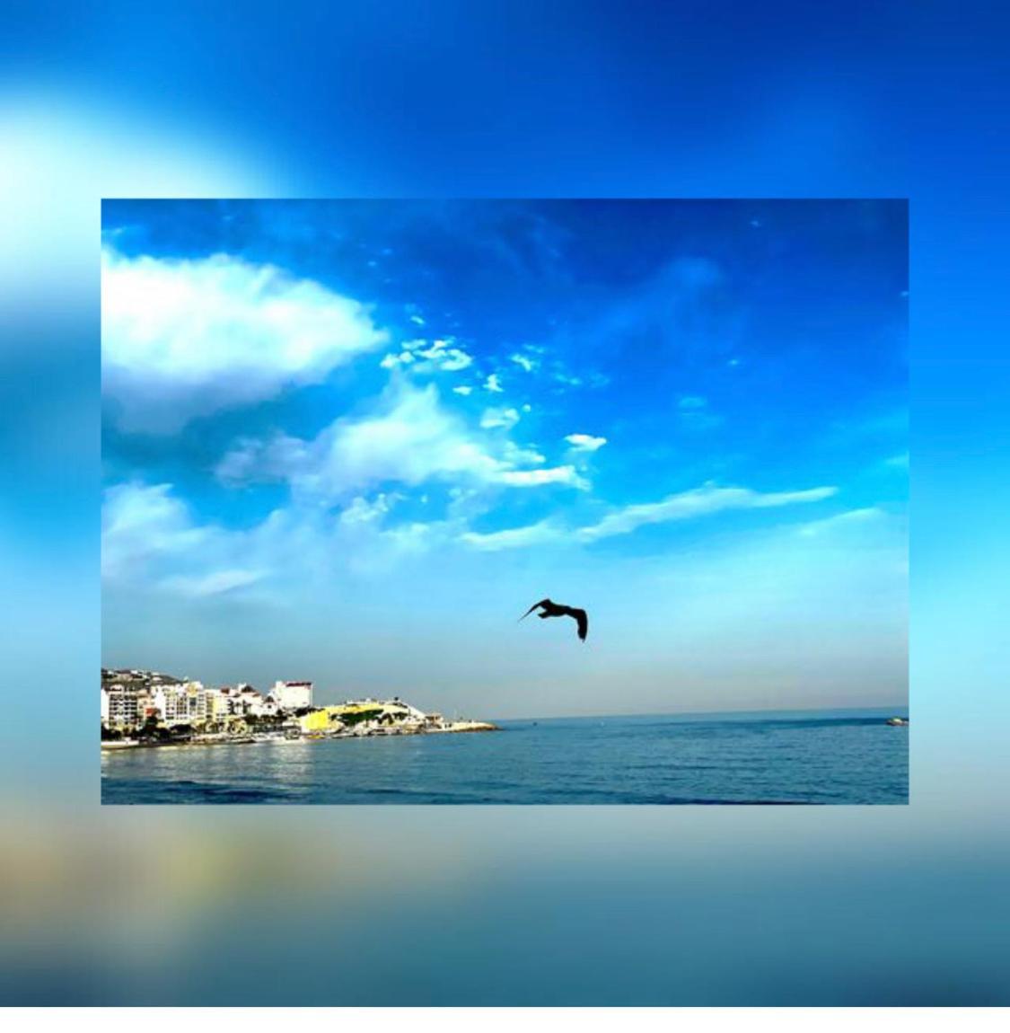 Apartamento Frente Al Mar เบนิดอร์ม ภายนอก รูปภาพ